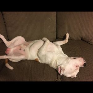 Meet your Posher, Brooke